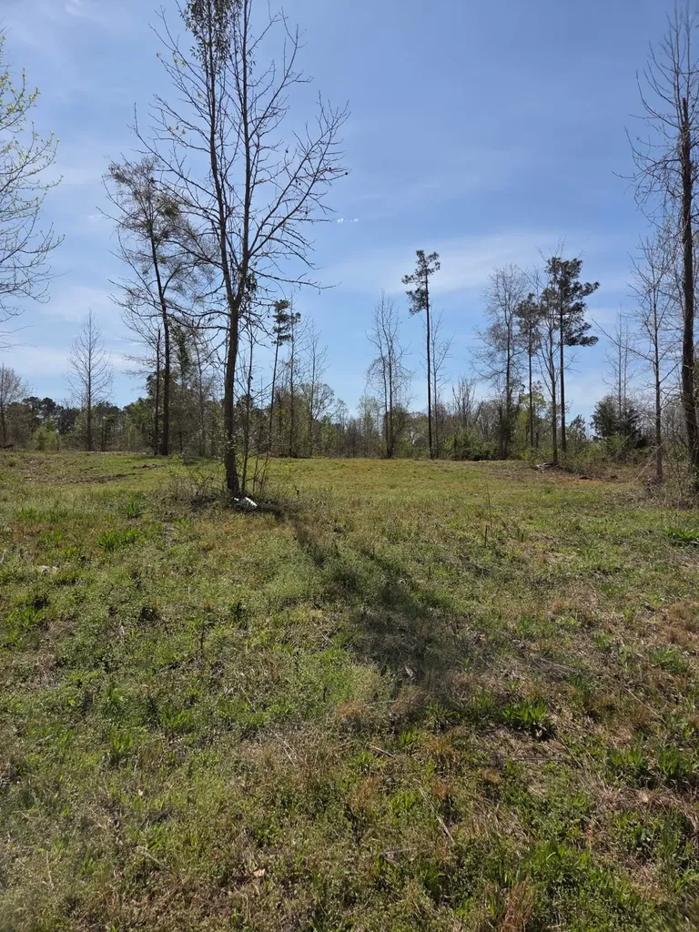 0 Adkins Road Wetumpka AL 36092