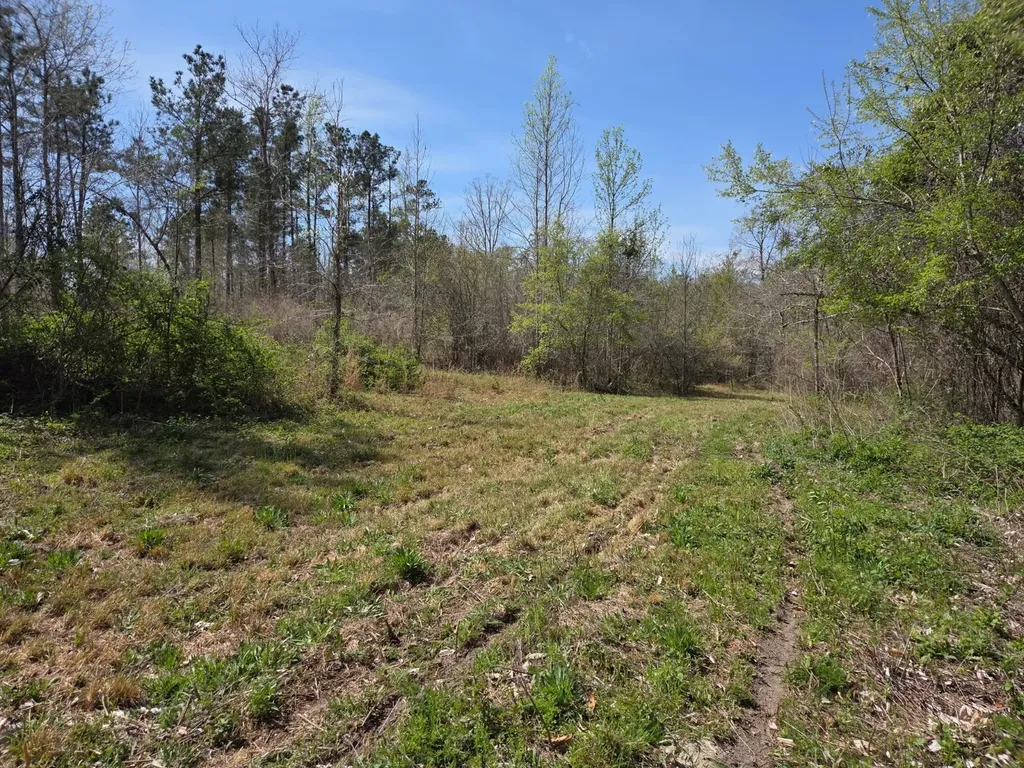 0 Adkins Road Wetumpka AL 36092