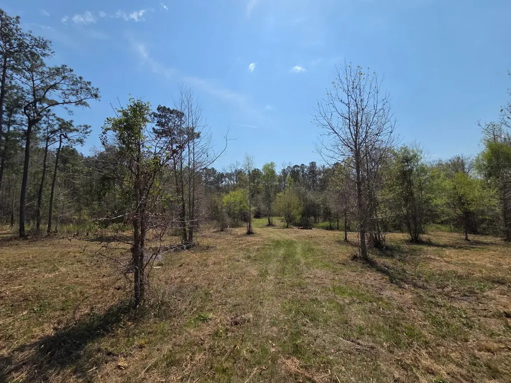 0 Adkins Road Wetumpka AL 36092