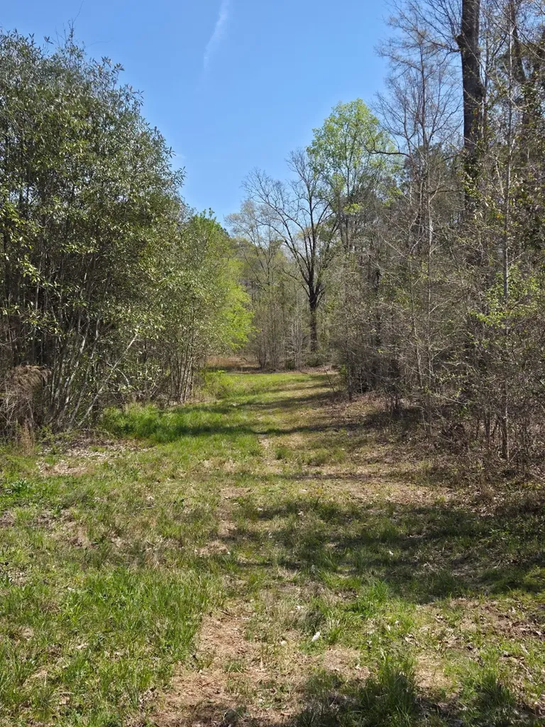 0 Adkins Road Wetumpka AL 36092