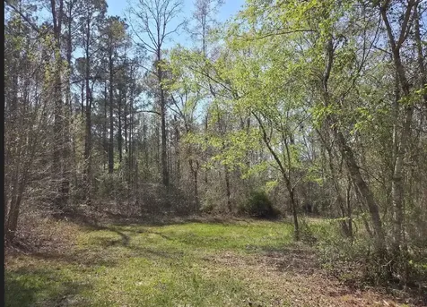 0 Adkins Road Wetumpka AL 36092