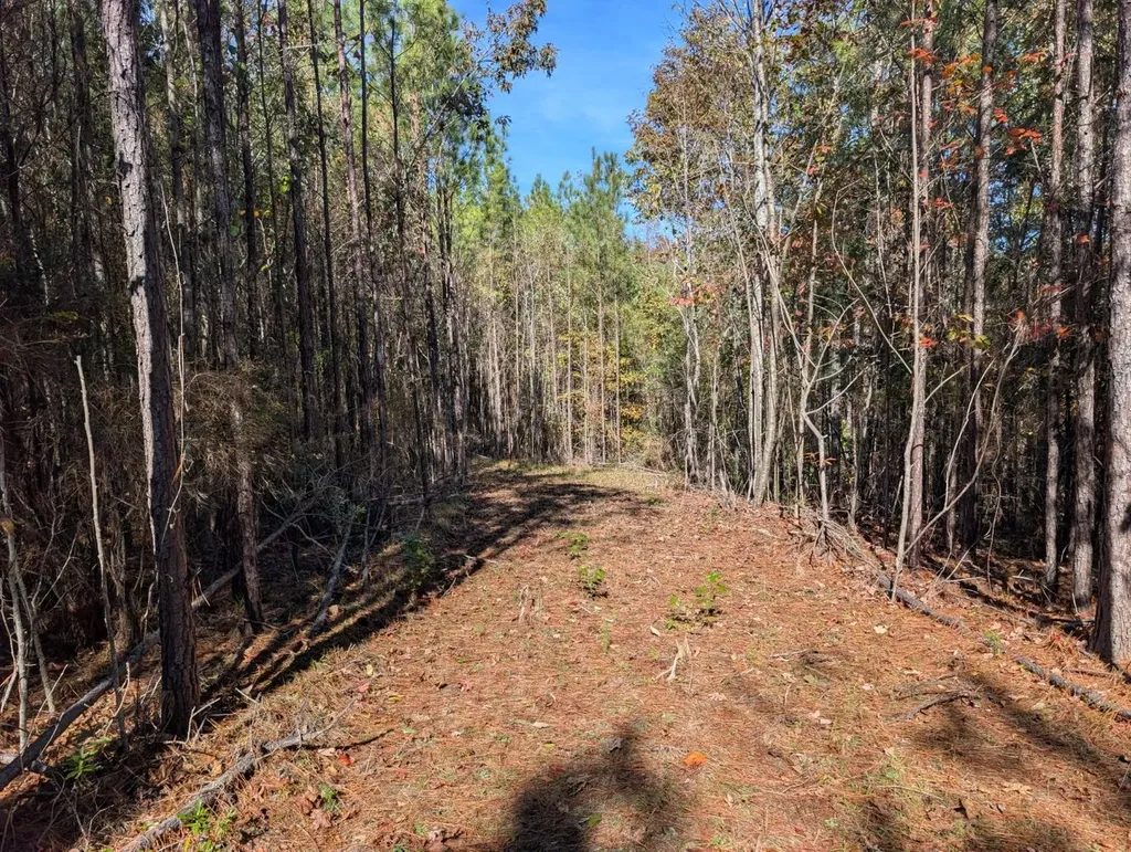 0 County Road 51 Greensboro AL 36033