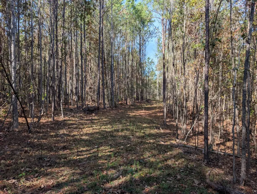 0 County Road 51 Greensboro AL 36033