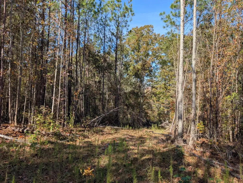 0 County Road 51 Greensboro AL 36033