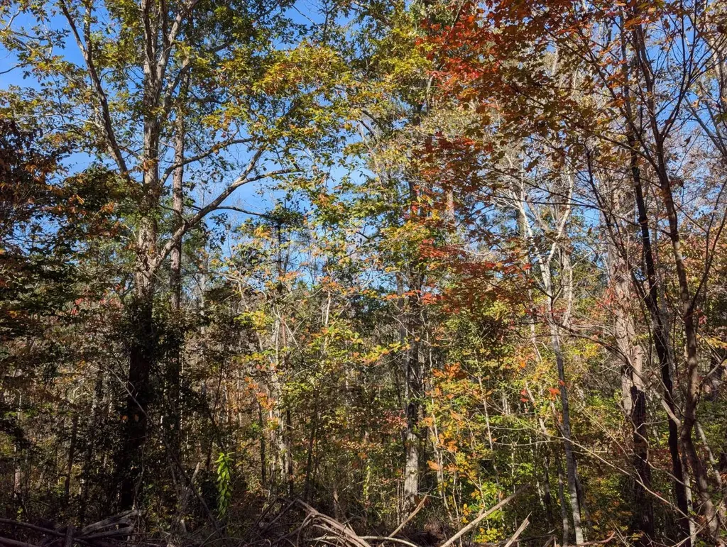 0 County Road 51 Greensboro AL 36033