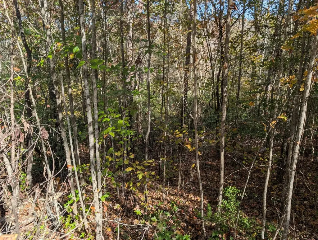 0 County Road 51 Greensboro AL 36033