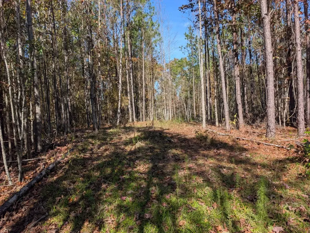 0 County Road 51 Greensboro AL 36033