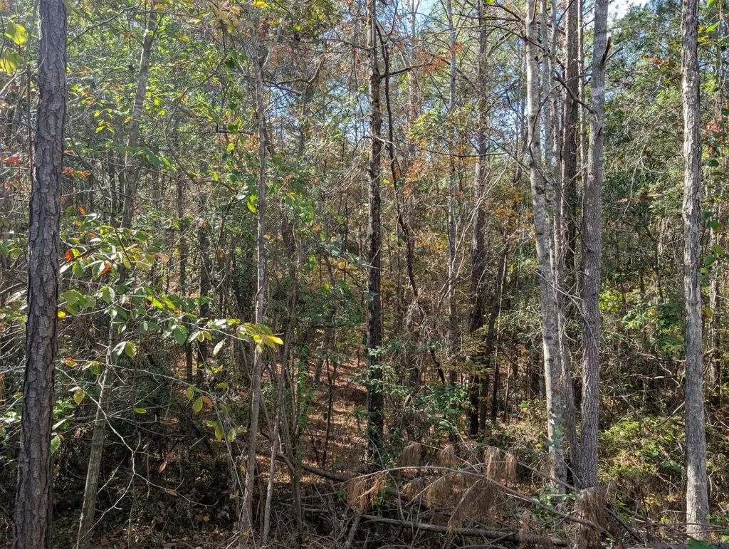 0 County Road 51 Greensboro AL 36033