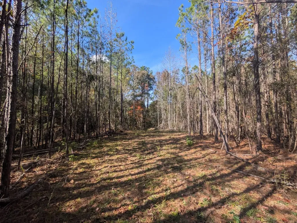 0 County Road 51 Greensboro AL 36033