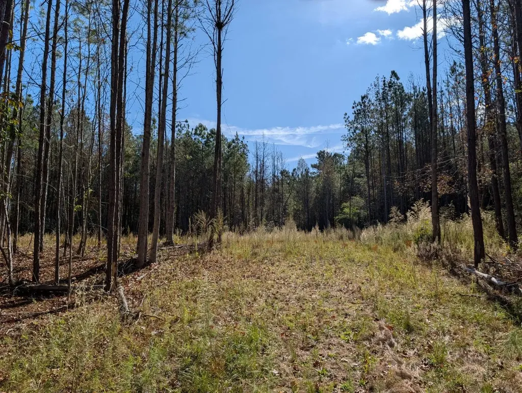 0 County Road 51 Greensboro AL 36033