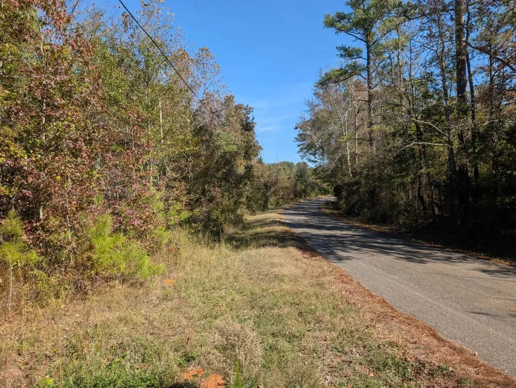 0 County Road 51 Greensboro AL 36033