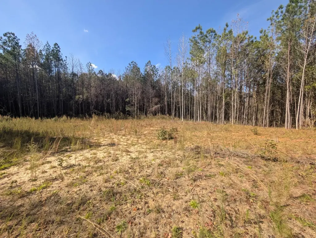 0 County Road 51 Greensboro AL 36033