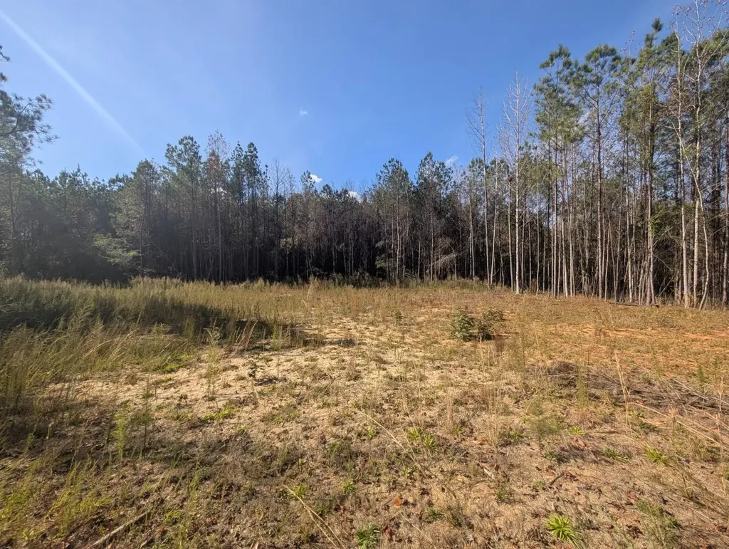 0 County Road 51 Greensboro AL 36033