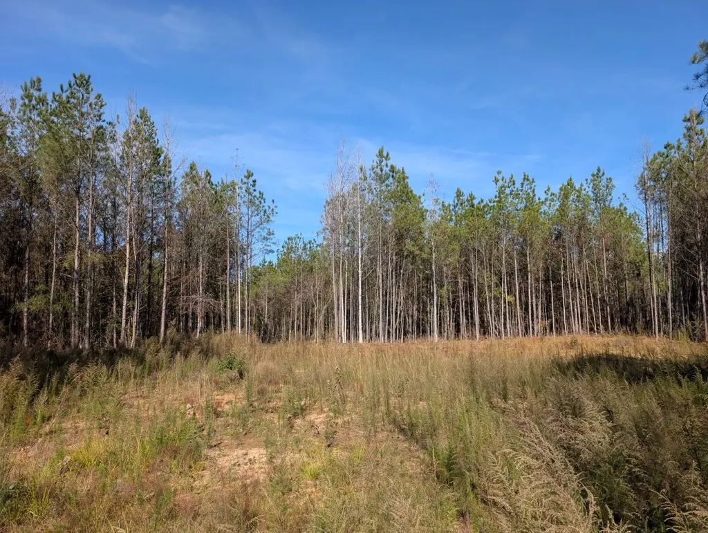 0 County Road 51 Greensboro AL 36033