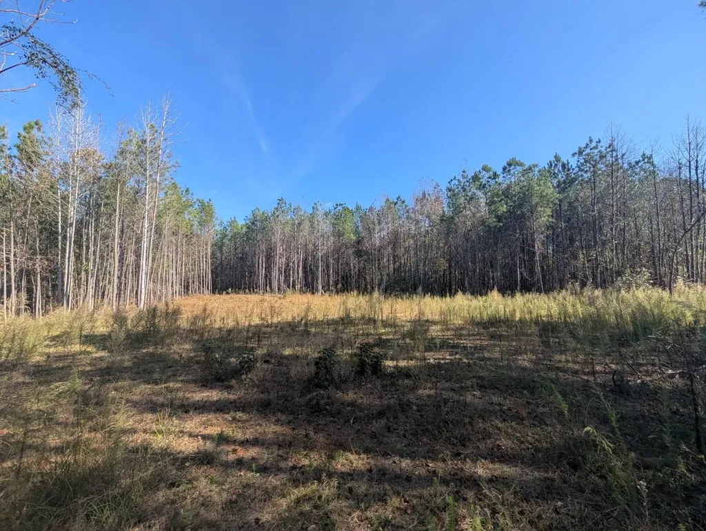 0 County Road 51 Greensboro AL 36033