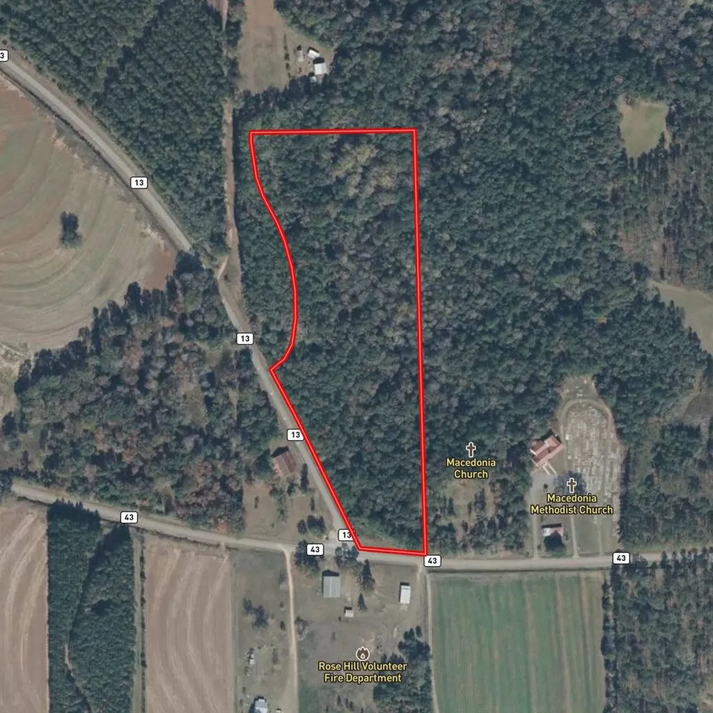 15.6+/- Acres Rose Hill Dozier Macedonia Road Andalusia AL 36421
