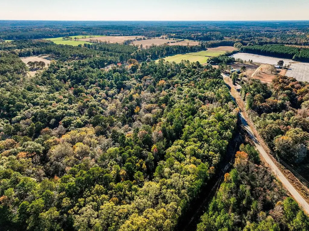 15.6+/- Acres Rose Hill Dozier Macedonia Road Andalusia AL 36421
