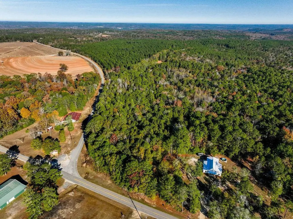 15.6+/- Acres Rose Hill Dozier Macedonia Road Andalusia AL 36421