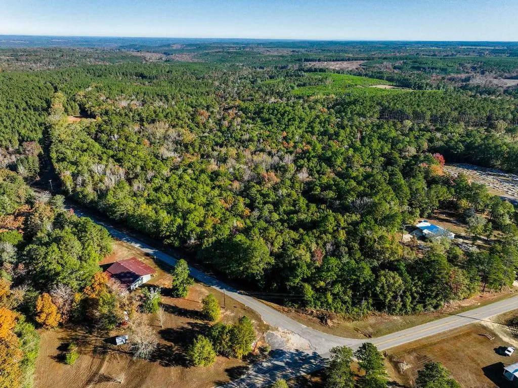 15.6+/- Acres Rose Hill Dozier Macedonia Road Andalusia AL 36421