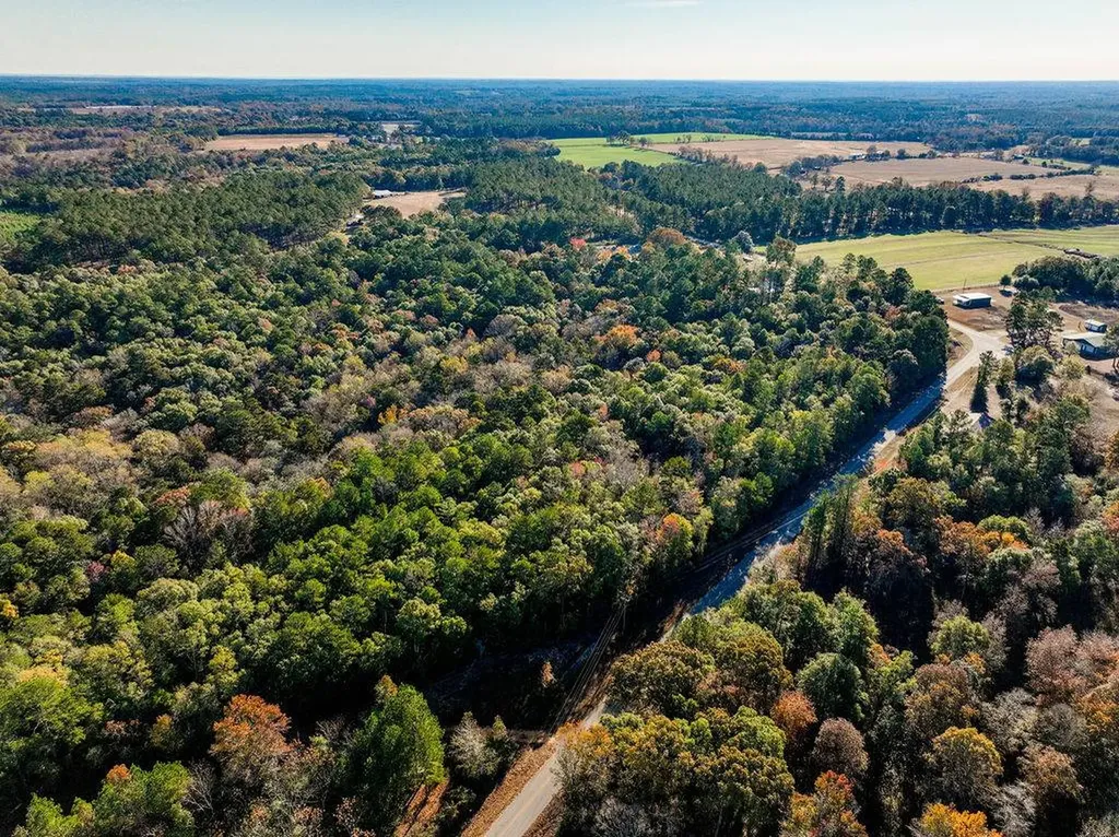 15.6+/- Acres Rose Hill Dozier Macedonia Road Andalusia AL 36421
