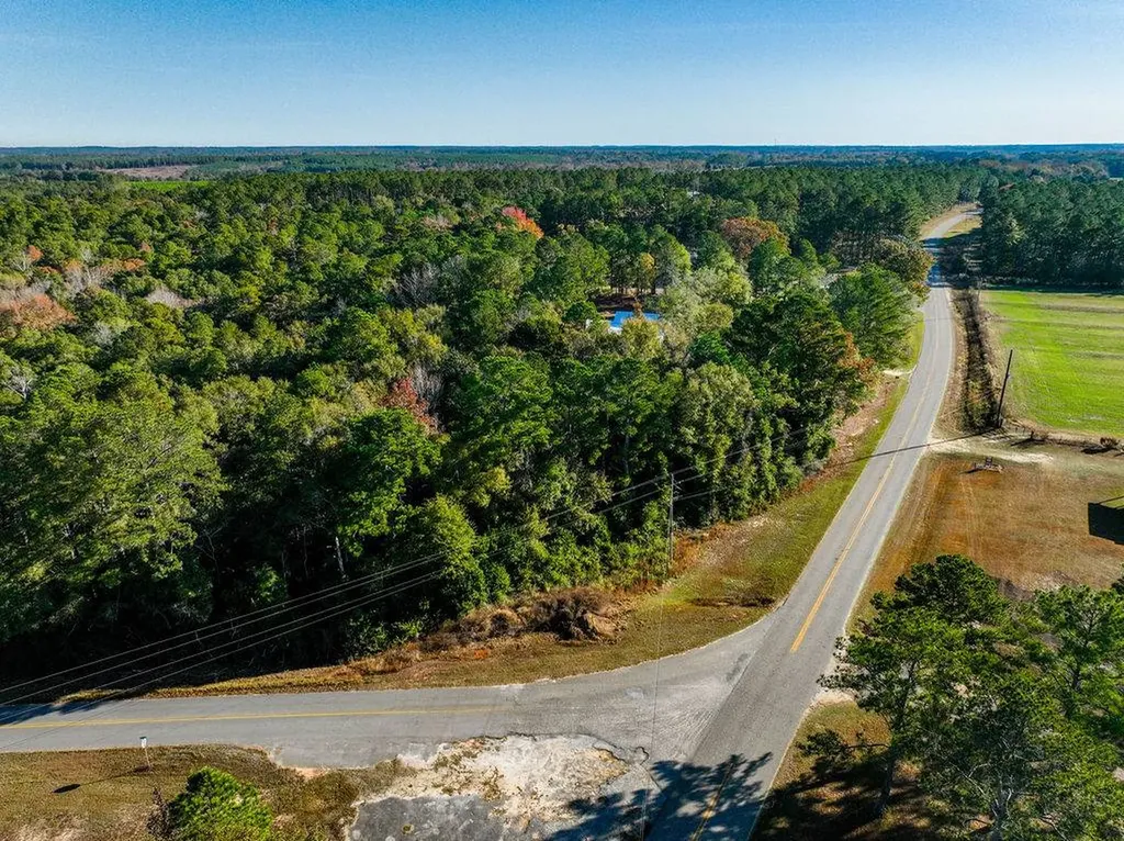 15.6+/- Acres Rose Hill Dozier Macedonia Road Andalusia AL 36421