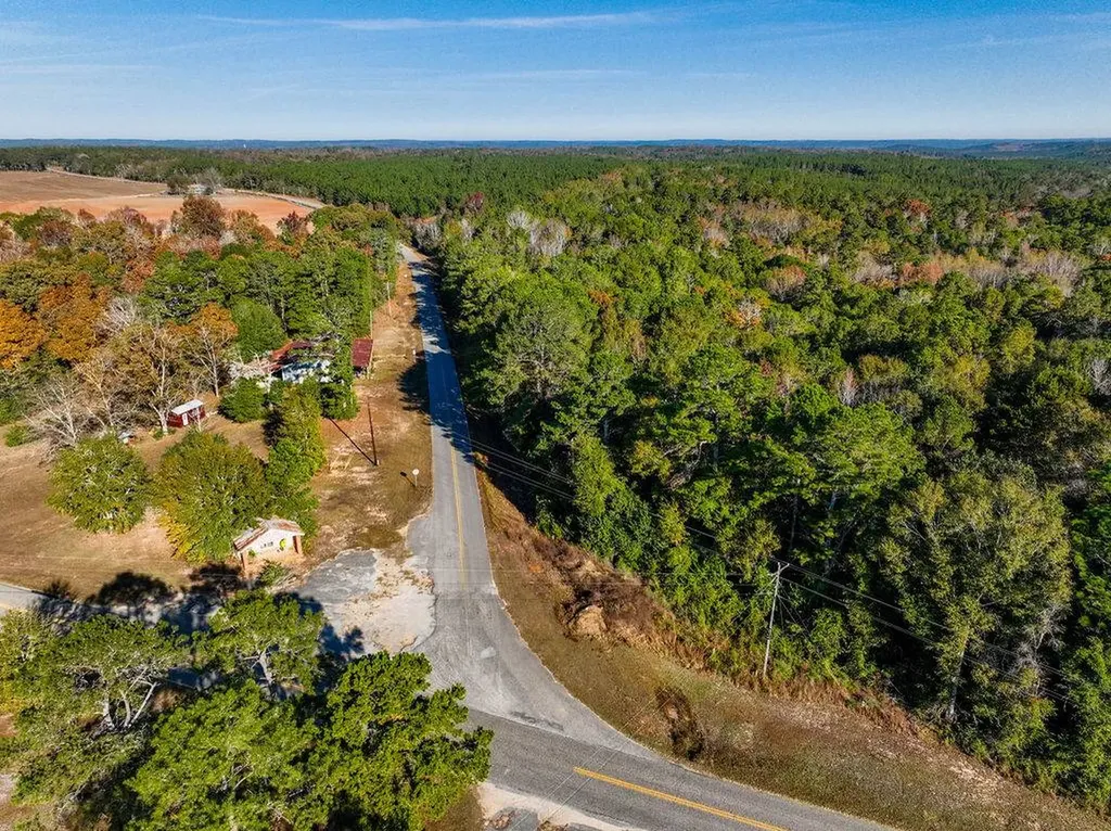 15.6+/- Acres Rose Hill Dozier Macedonia Road Andalusia AL 36421