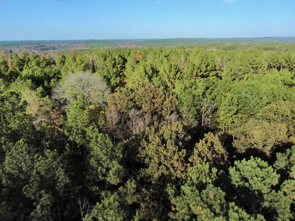 0 Al Highway 14 Greensboro AL 36744