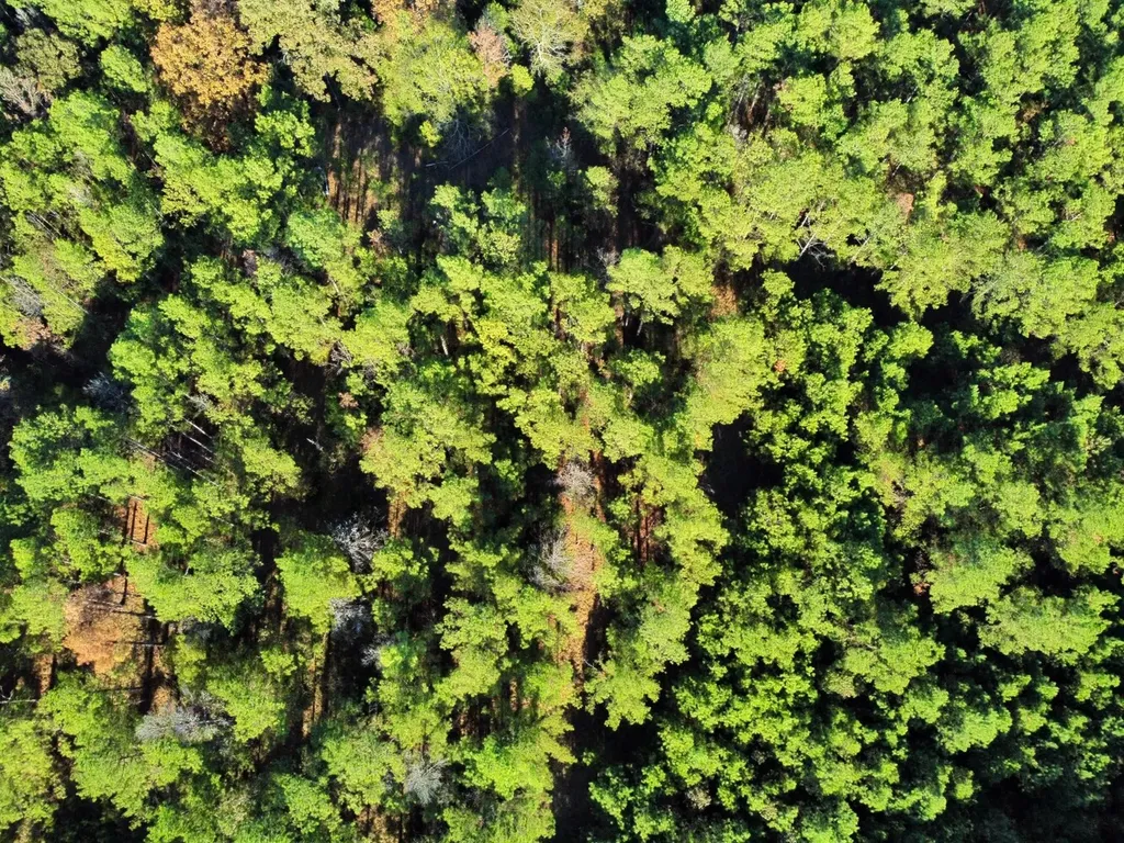 0 Al Highway 14 Greensboro AL 36744