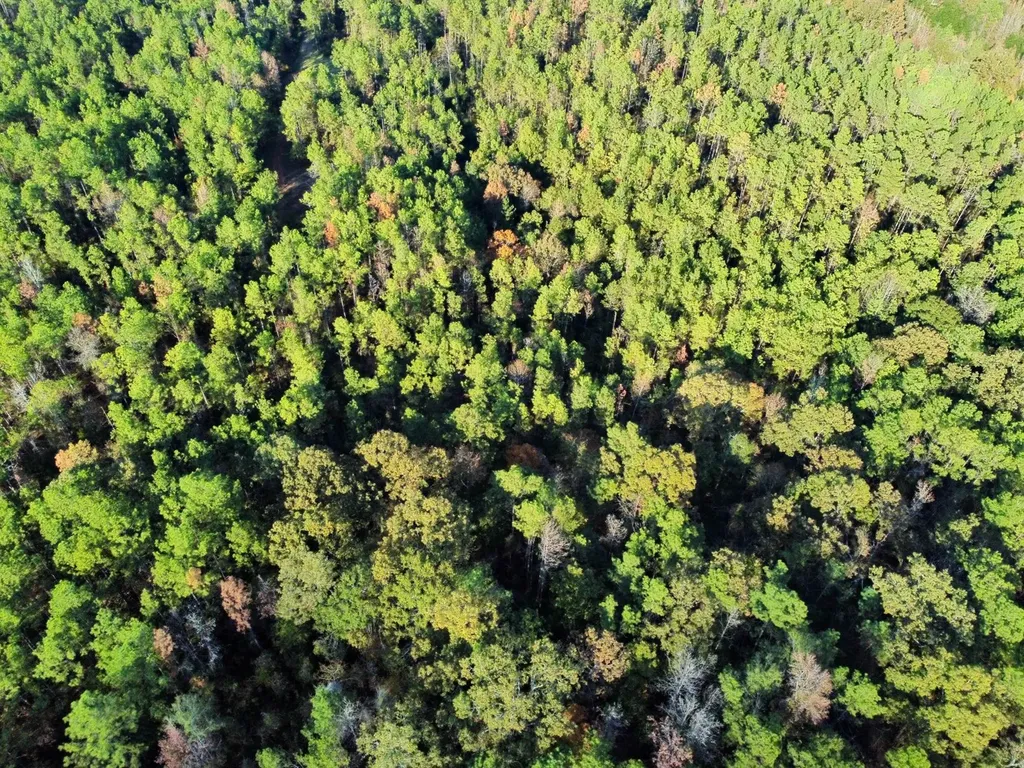 0 Al Highway 14 Greensboro AL 36744