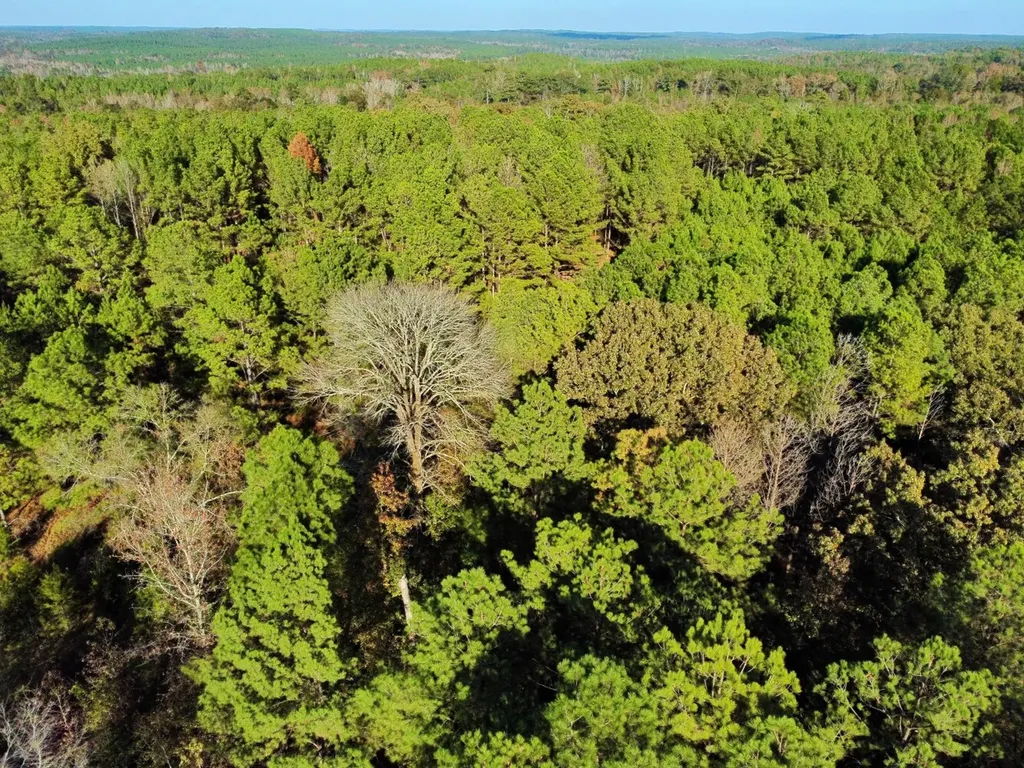 0 Al Highway 14 Greensboro AL 36744