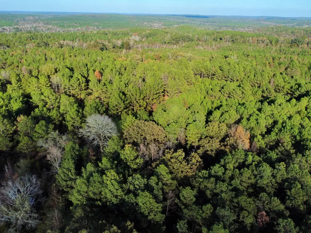 0 Al Highway 14 Greensboro AL 36744