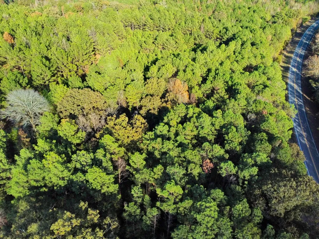 0 Al Highway 14 Greensboro AL 36744