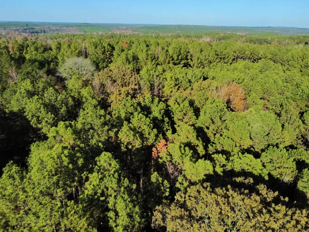 0 Al Highway 14 Greensboro AL 36744