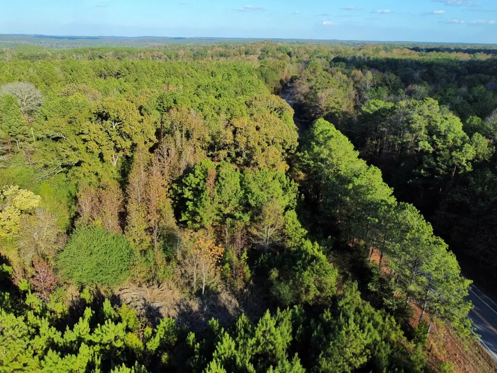 0 Al Highway 14 Greensboro AL 36744