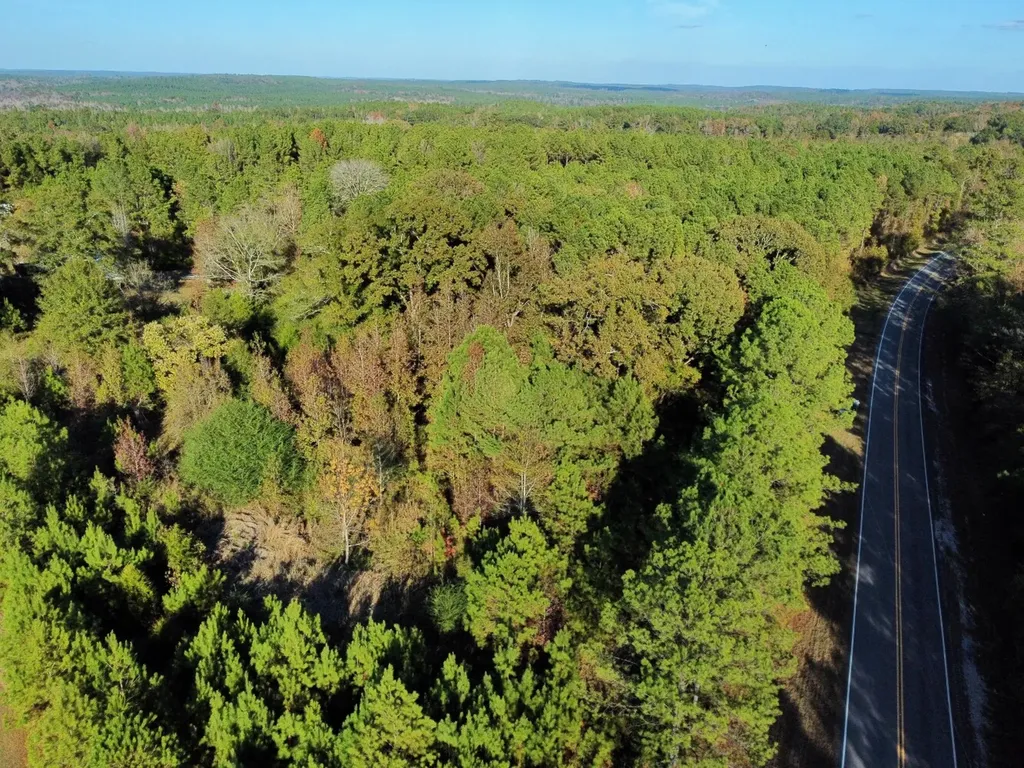 0 Al Highway 14 Greensboro AL 36744