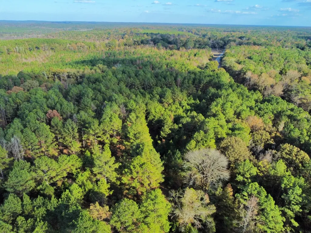 0 Al Highway 14 Greensboro AL 36744