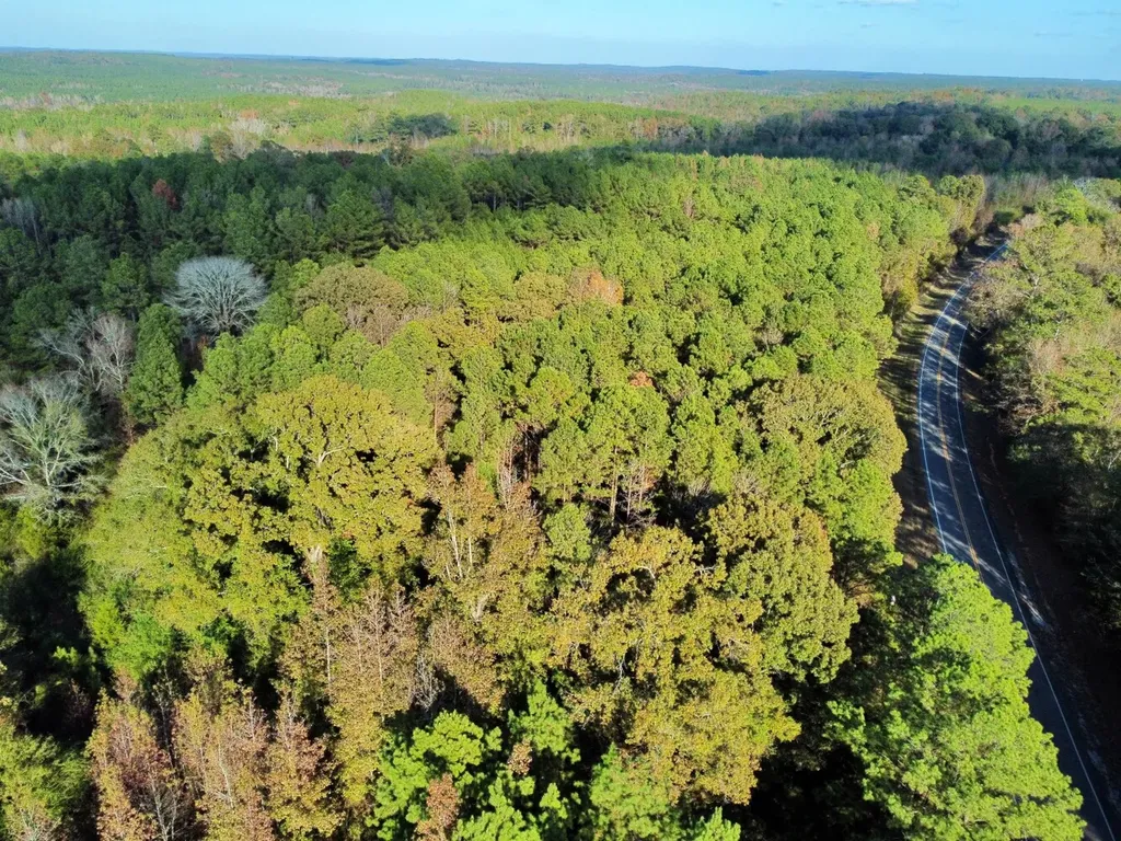 0 Al Highway 14 Greensboro AL 36744