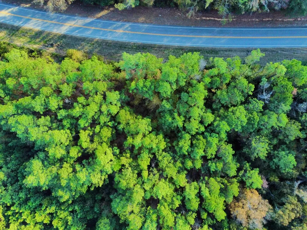 0 Al Highway 14 Greensboro AL 36744