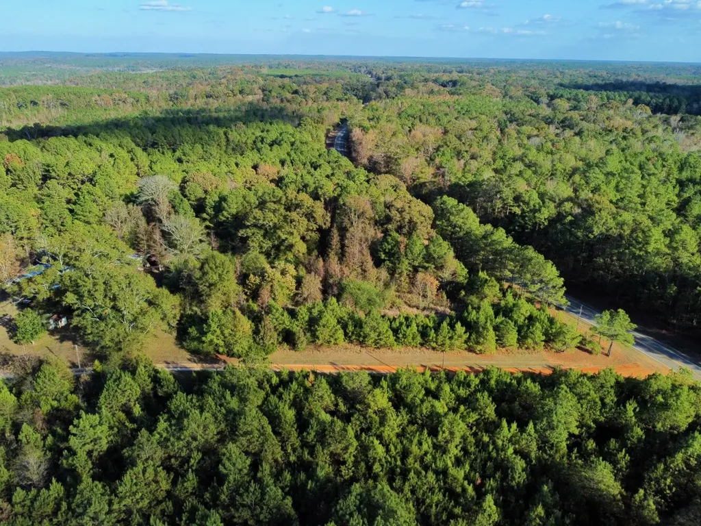 0 Al Highway 14 Greensboro AL 36744