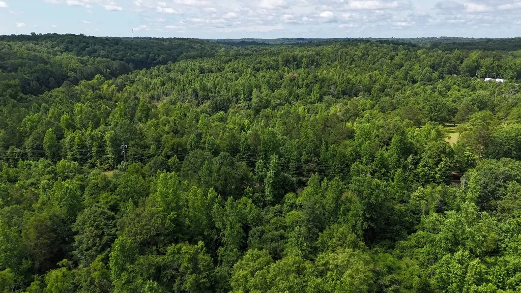 0 Cedar Lane Alexander City AL 35010