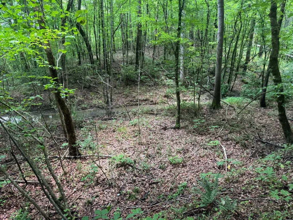 0 Cedar Lane Alexander City AL 35010