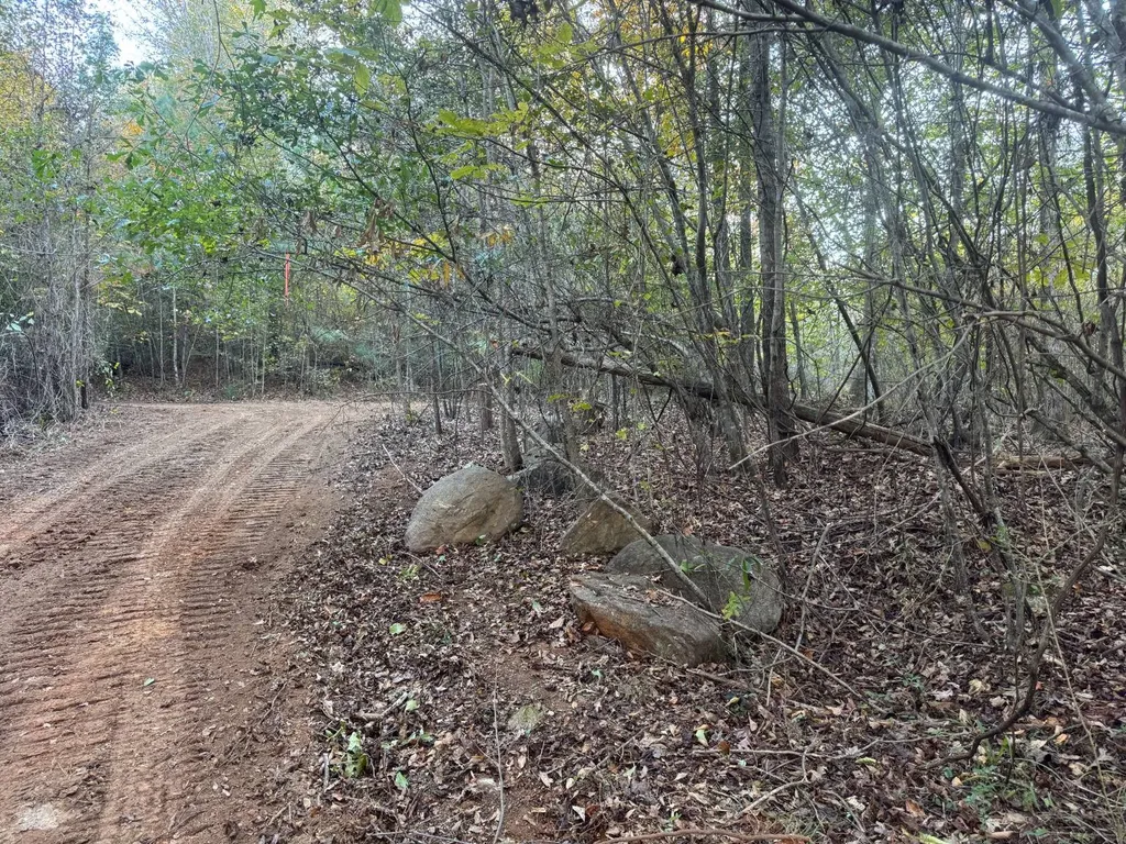 0 Cedar Lane Alexander City AL 35010