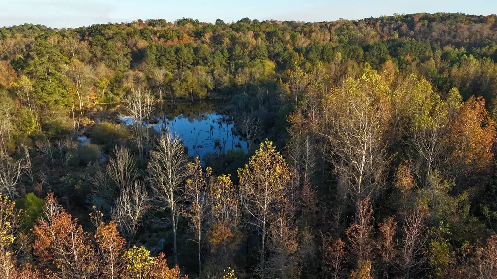 0 Cedar Lane Alexander City AL 35010
