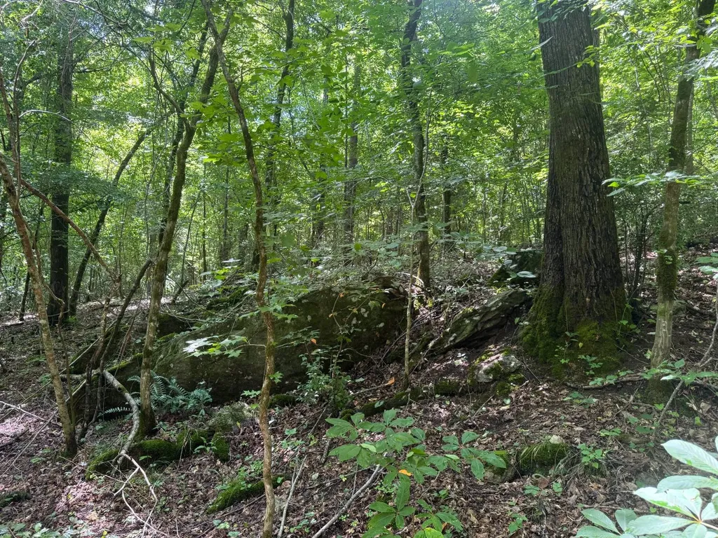 0 Cedar Lane Alexander City AL 35010