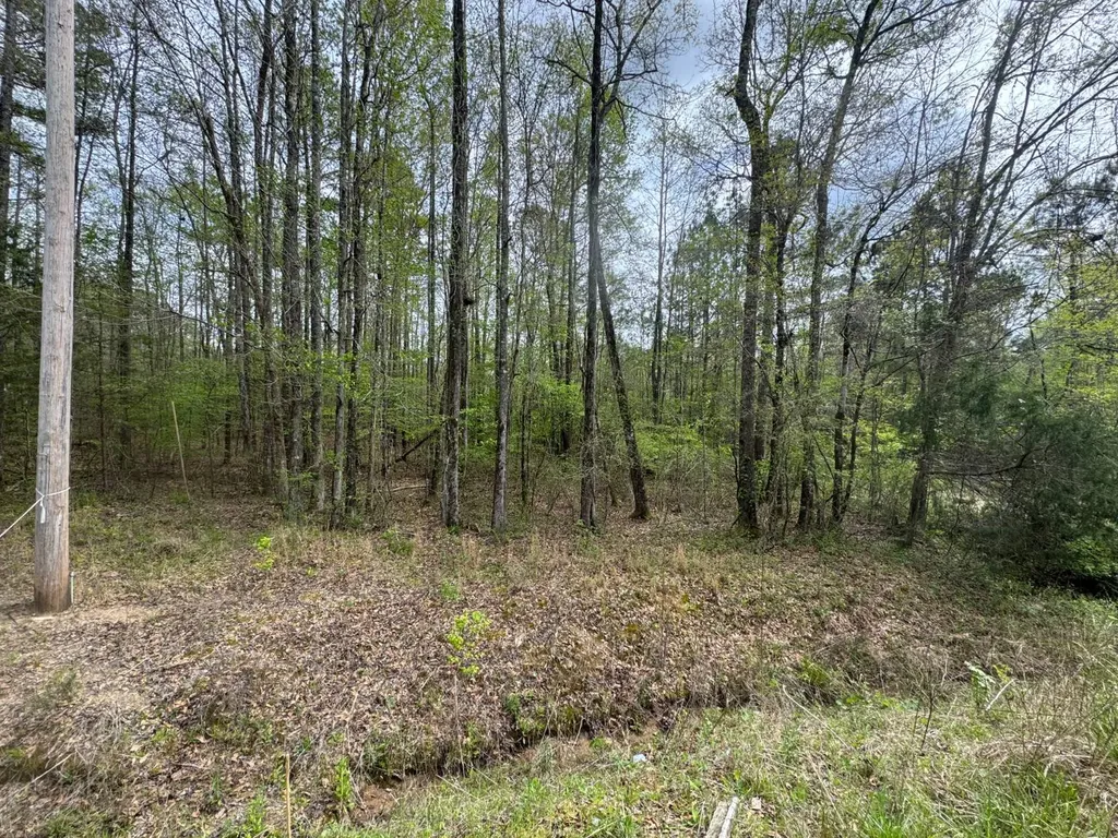 0 Cedar Lane Alexander City AL 35010