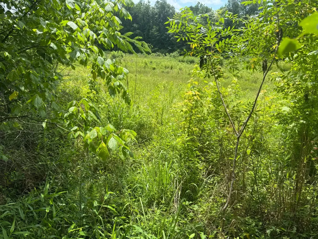 0 Cedar Lane Alexander City AL 35010