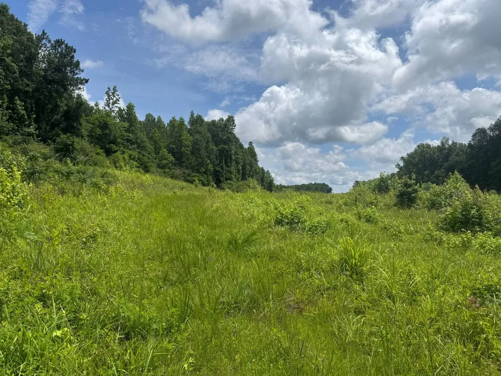 0 Cedar Lane Alexander City AL 35010