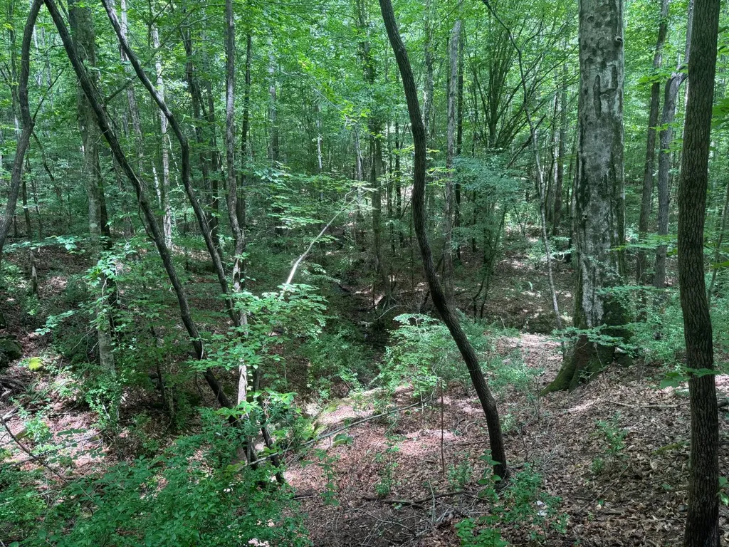 0 Cedar Lane Alexander City AL 35010
