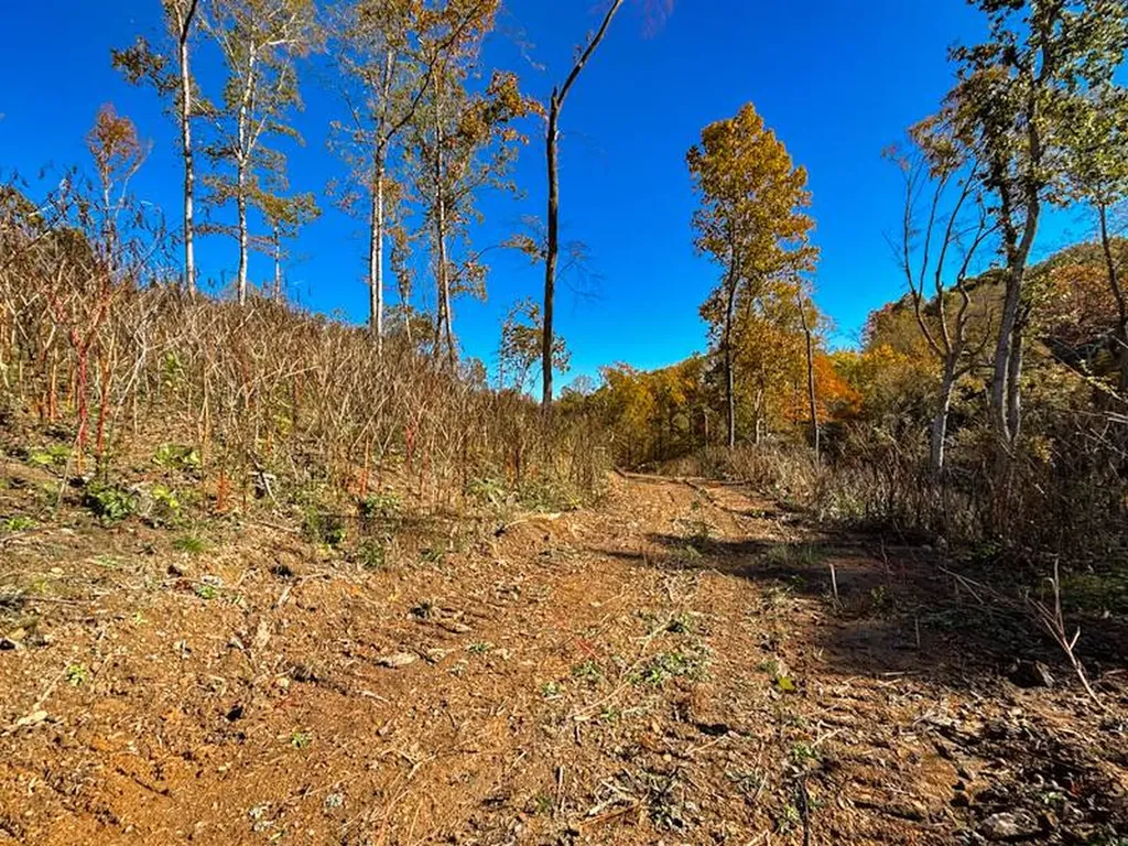 5 Lake Bend Shores Drive Florence AL 35633