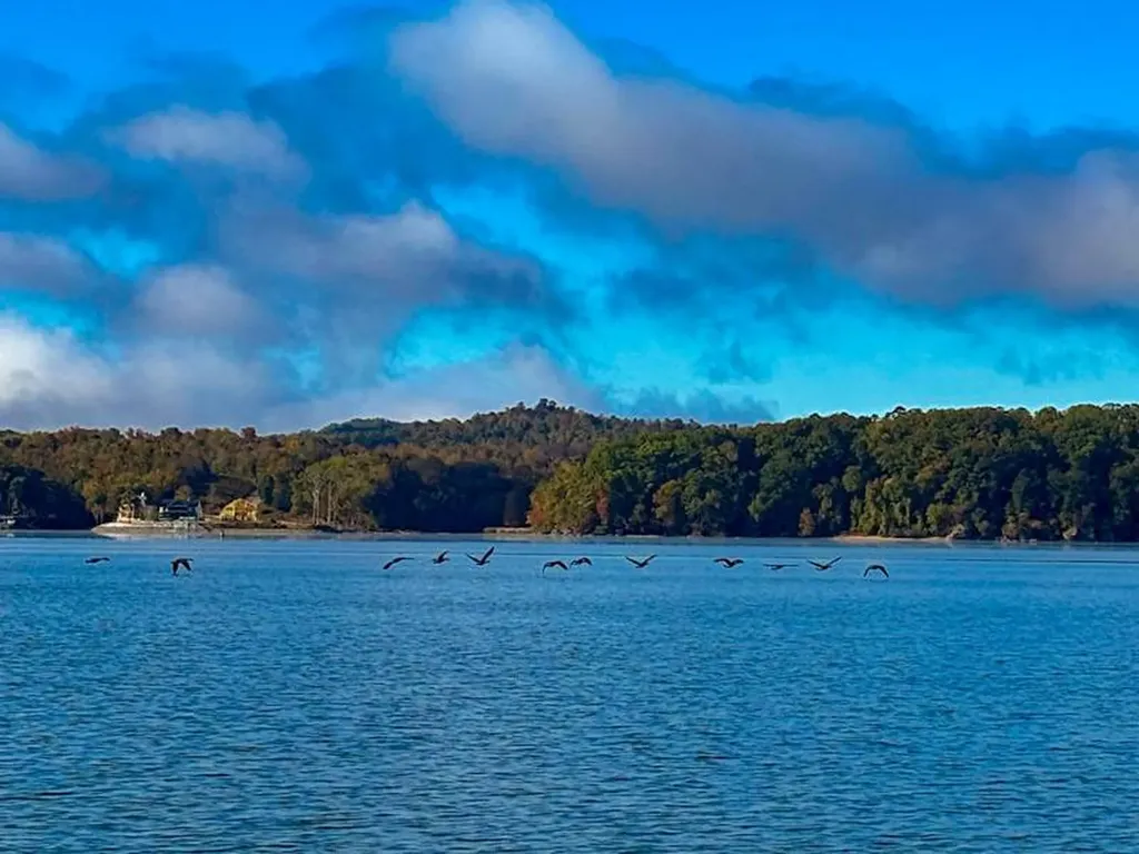 5 Lake Bend Shores Drive Florence AL 35633